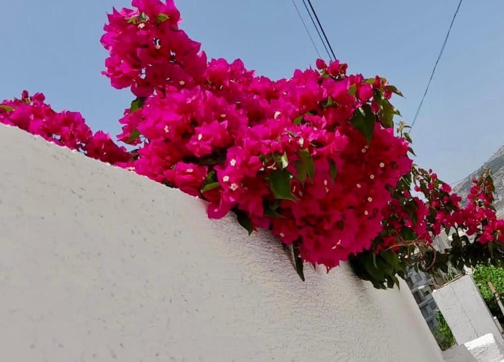 Ona Apartament Sarande Exterior photo